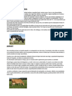 Razas Lecheras en Argentina PDF