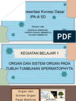 Konsep Dasar Ipa Di SD