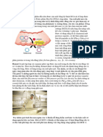 Milk Cutting Enzyme Intro