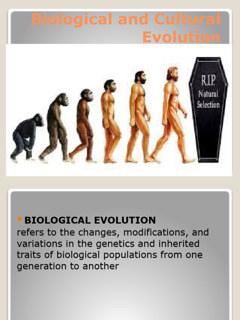 Human Evolution: From Hominids to Homo Sapiens | PDF | Homo ...