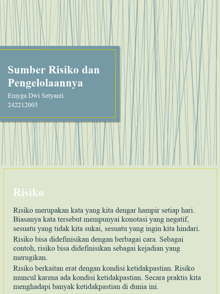 Sumber Risiko Dan Pengelolaannya | PDF