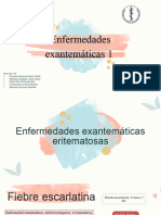 Enfermedades Exantemáticas 1