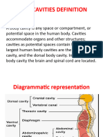 Body Cavities PPT & Anatomical System