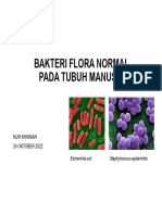 Bakteri Flora Normal