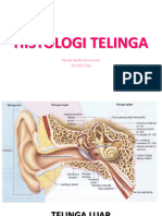 histologi-telinga-kamila-hk_compress