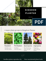 10-Kingdom Plantae