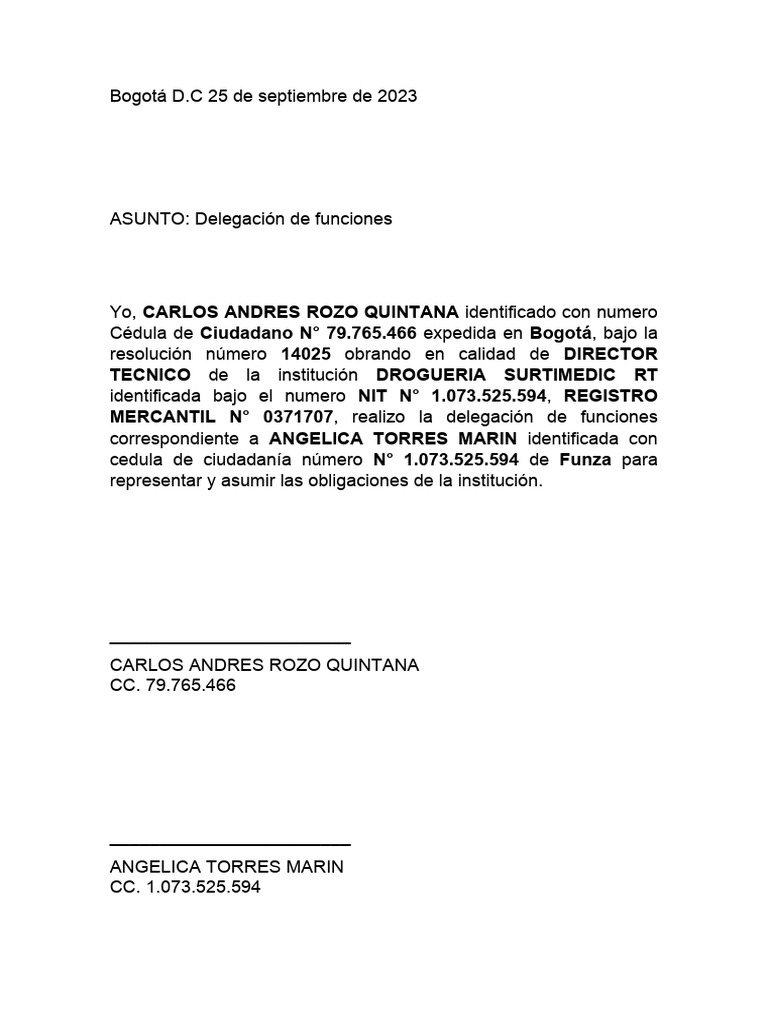Carta Delegacion de Funciones PDF