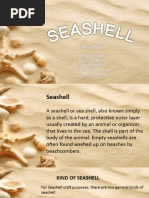 How are seashells created? Or any other shell, such as a snail's