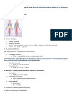 ANATOMIA