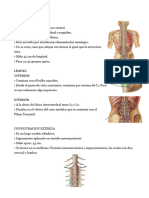 Medula Espinal.