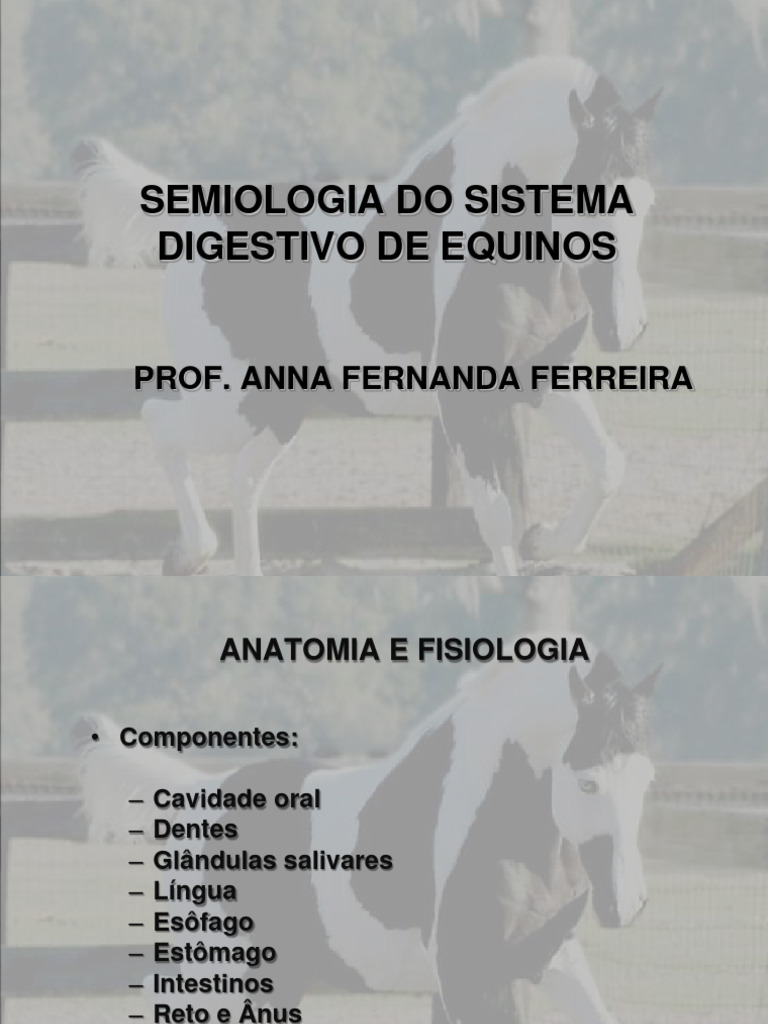 Slinky Classico Corpo Intero Per Cavallo - Equino Classico - Colore Nero