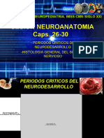 Clase Neuroanatomia
