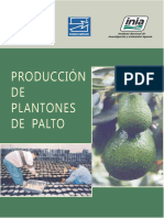 Plan de Trabajo de Produccion de Palto