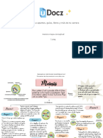 Meiosis Mapa Conceptual 209321 Downloable 2107704