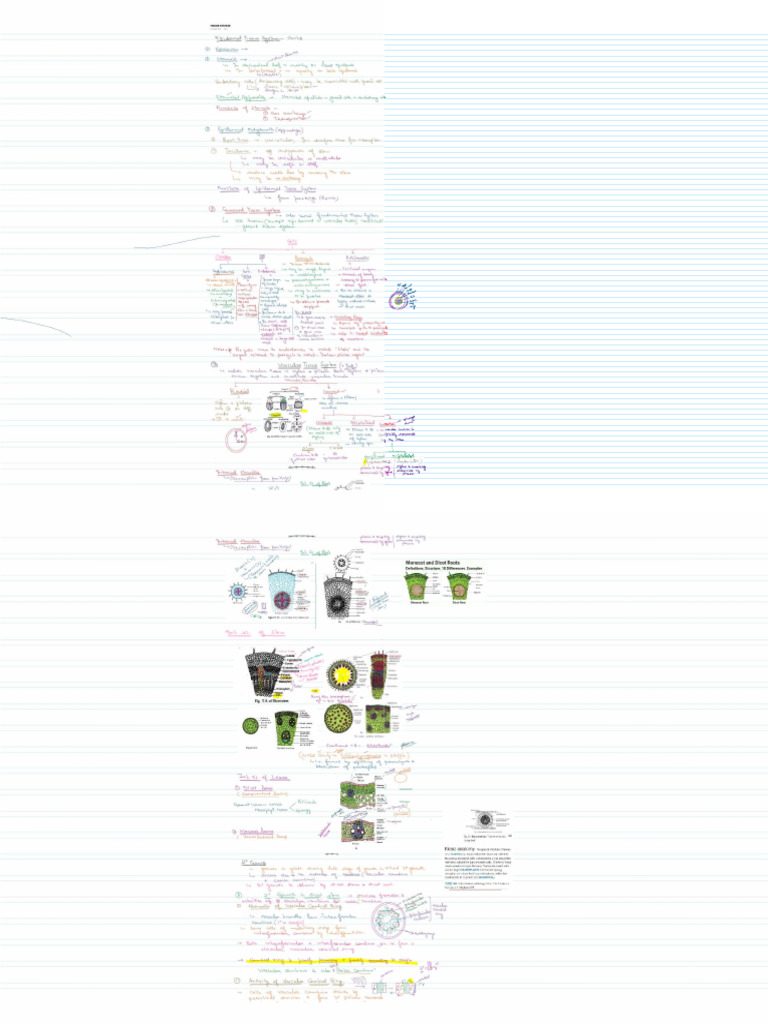 Tissue System & Secondary Growth PDF