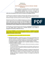 Informe Investigativo Pseudomonas en Cúrcuma y Jengibre Completo Campo y Consumo Alimenticio