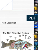 Fish Digestion