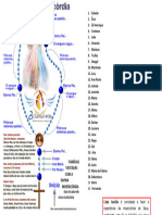 LISTA DAS CASAS - Fernanda Jesus Misericordioso