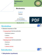 Lecture 6 Theory - Enzymes