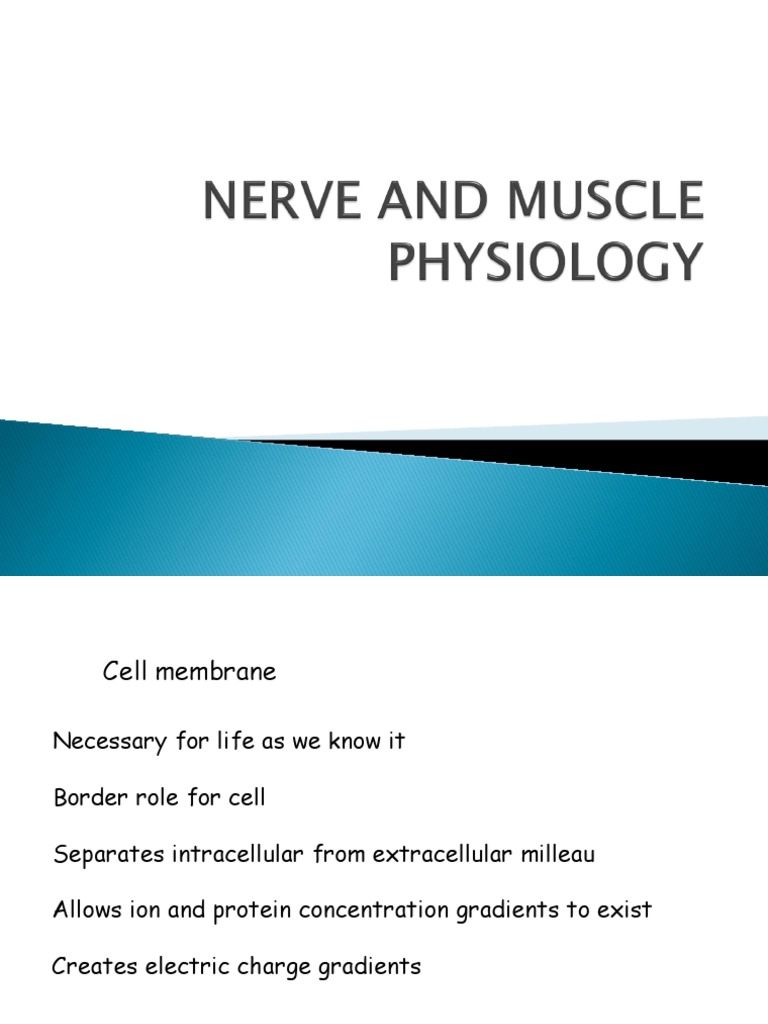 Nerve and Muscle Physiology Overview | PDF | Action Potential | Muscle ...