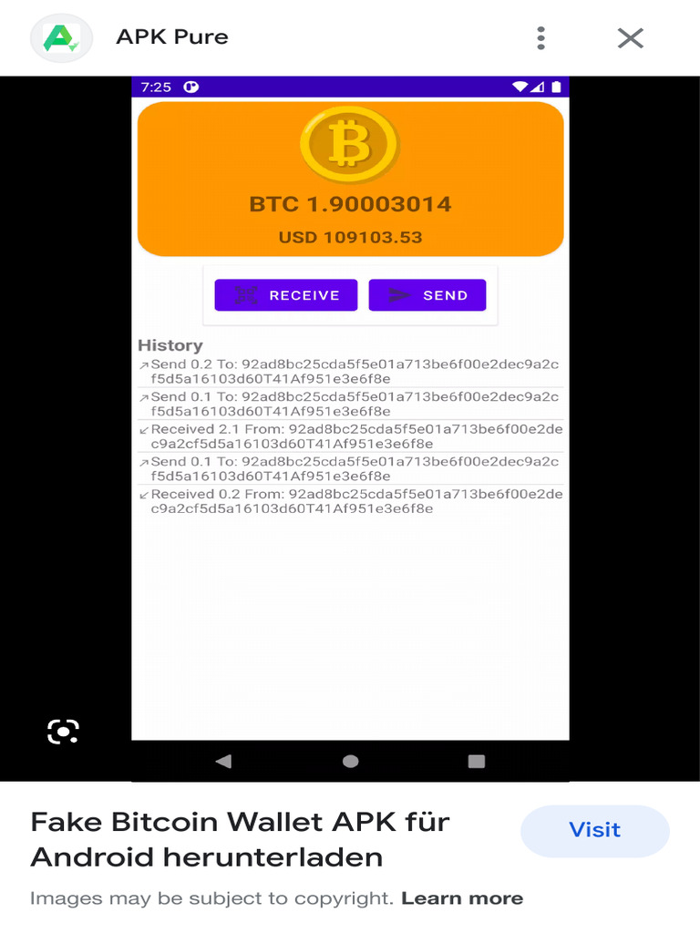Fake Bitcoin Wallet Screenshot - Google Search | PDF