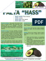 Ficha Tecnica de Palta BioPacha Peru