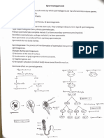 embryology