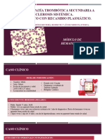 Microangiopatía Trombótica Secundaria A Esclerosis Sistémica - 102951