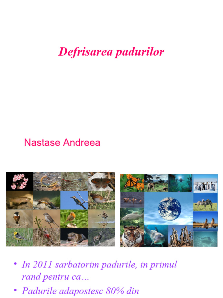 Defrisarea Padurilor | PDF