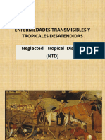 Enfermedades Transmisibles y Tropicales Sesatendidas