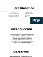 Cuadro Sinóptico