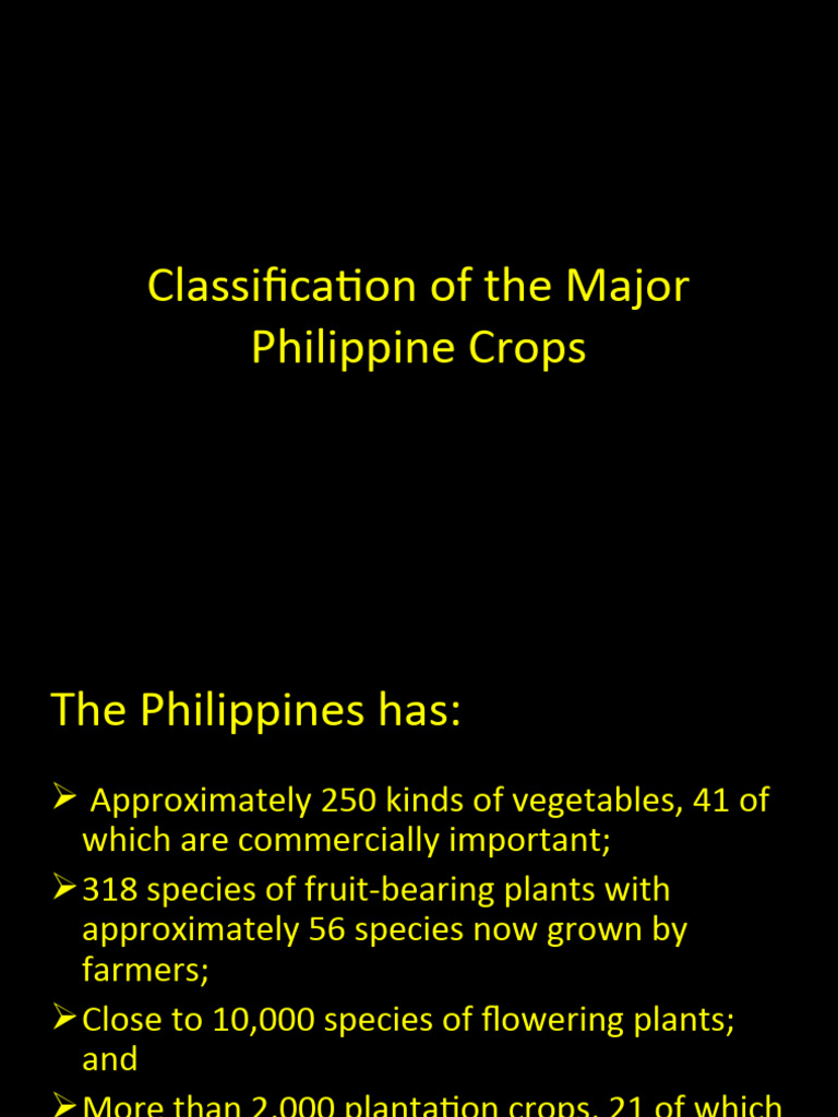 Major Philippine Crop Classifications | PDF | Plants | Botany