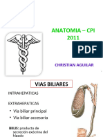 Cfc - Vias Biliares. (1) - Copia