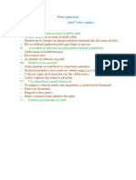 Piatra - Pitigoiului - Plan - Dezvoltat - de - Idei Cls. A IV A