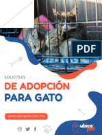 Adopción Gato