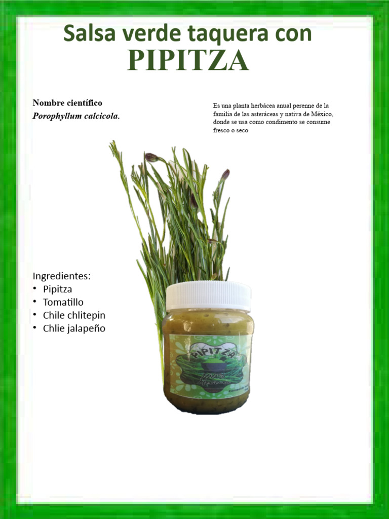 Usos y beneficios de la Pipitza | PDF | Hogar, jardinería y bricolaje ...