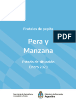 Sagyp-Pera y Manzana Situacion 2023 01