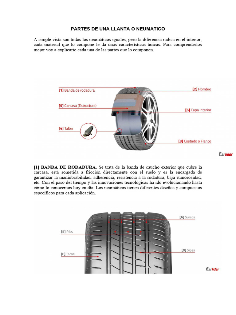 Partes de Una Llanta o Neumatico | Descargar gratis PDF | Neumático ...