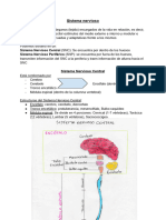 ANATOMOFISIOLOGIA