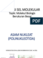 Biologi Sel Molekular 4 Asam Nukleat