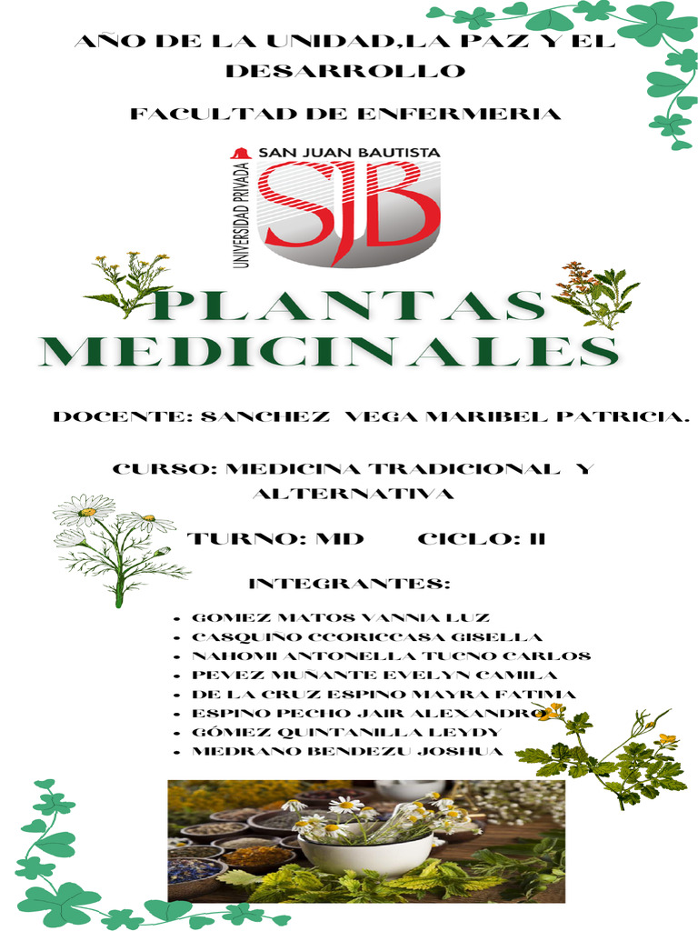 Plantas Medicinales Pdf Resfriado Comun Especialidades Medicas