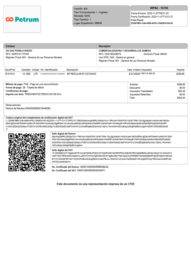 factura300-descargar-gratis-pdf-pagos-dinero