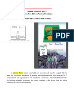 Aula 4 Trabalho em Equipe Na APS Caso Ilha Das Flores