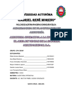 Auditoria Operativa A La Eficacia - Multinacional S.A.