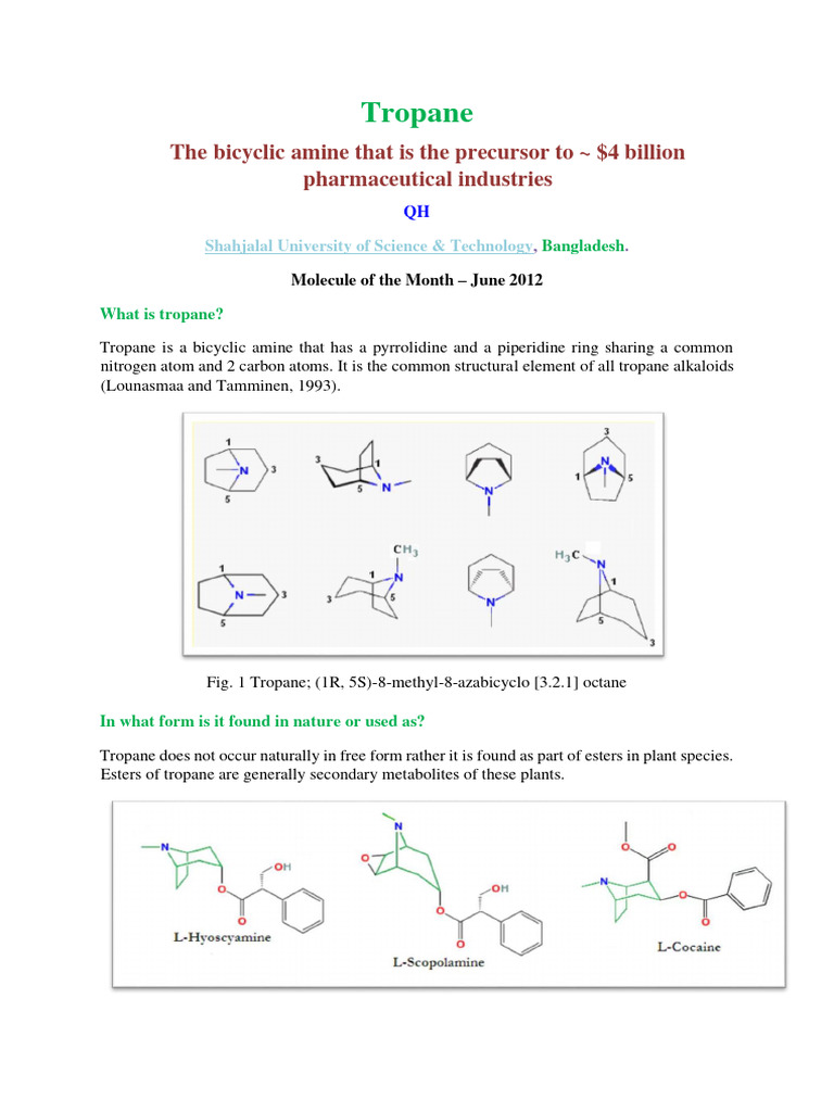 Importance of Tropane in Pharmaceuticals | PDF | Alkaloid | Cocaine