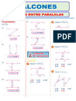 Angulos Con Respuestas Paralelas