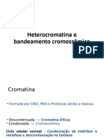 Heterocromatina e Bandeamento Cromossômico
