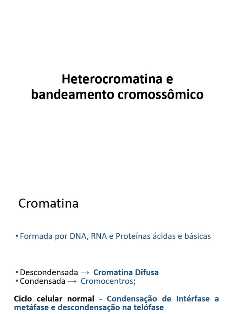 Heterocromatina e Bandeamento Cromossômico | PDF | Cromossomo | DNA