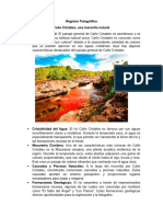 Punto 2 - Caño Cristales