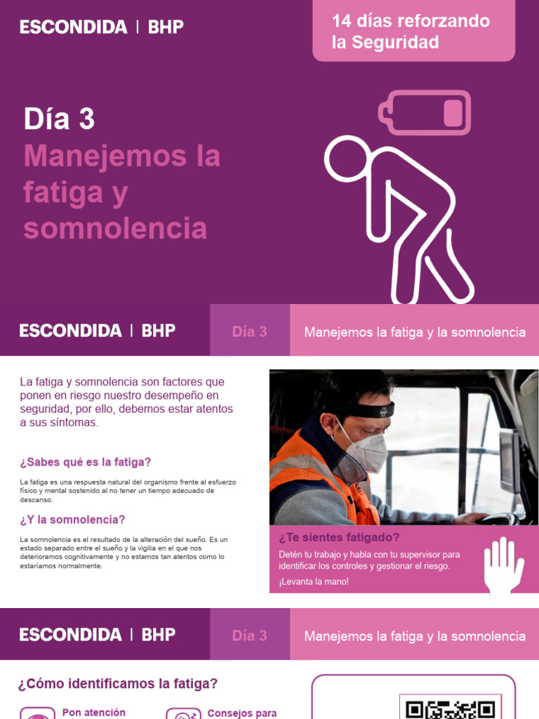 Manejo de Fatiga y Somnolencia Laboral | PDF